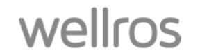 [Translate to ZH:] Logo wellros
